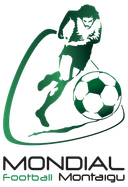 Juara Montaigu U16