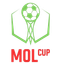 كأس التشيك
