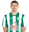 Enea topi