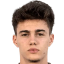 Nikola Mituljikic