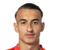 Ardit Destani