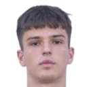 nikola radnic