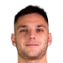 Domagoj jelavic