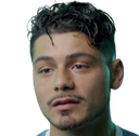 داروين لوم