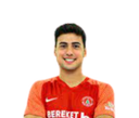 Yunus Emre Mertoglu