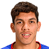 Paulo Henrique Silva Ribeiro