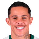 Wallisson Luiz Alves Máximo