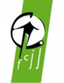 شباب يونغلينستر