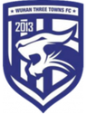 Wuhan Three TownsU19
