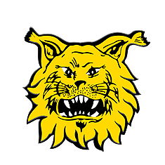 ইলভেস ইয়ুথ
