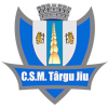 সিএসএম তারগু জিউ