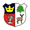 সিন্ডারফোর্ড টাউন