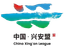 হিংগান লীগ দল