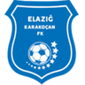 إلازيغ بليديسبور
