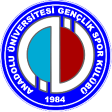 Universitas Anadolu