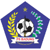 PS বাদুং