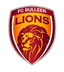 Singa Bulleen U23