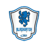الهجوم الأسود