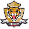 টিগ্রেস U19