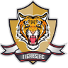 টিগ্রেস U19