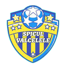AS Spicul Văcărele