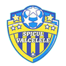 AS Spicul Văcărele