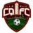 Chongqing FC(2011-2013)