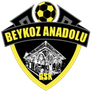 Tuzlaspor