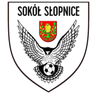 سوكول سلوبنيتسه