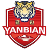 ইয়ানবিয়ান টিম