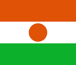 النيجر النسائي تحت 20