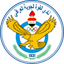 القوة الجوية
